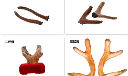 银 过敏-银医生银离过敏症状网- 银离子杀菌过敏网知识,分享银会过敏 那银是假的吗
